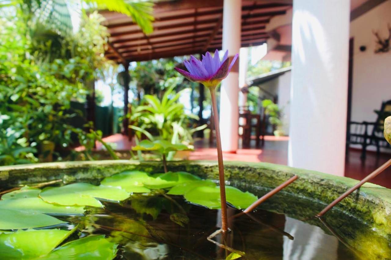 Sunrise Guest House & Restaurant Tangalle Zewnętrze zdjęcie